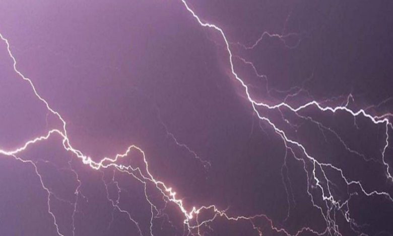 Lightning Strikes Fatalities Vikarabad District Tragedy