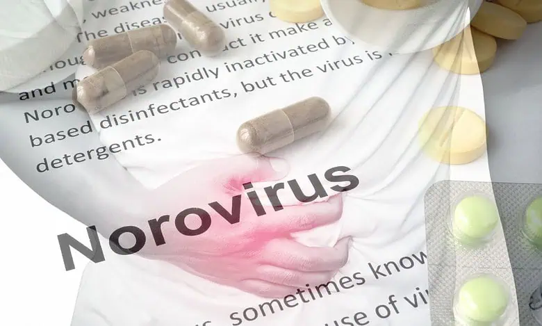 Hyd Officials Deny Norovirus Outbreak