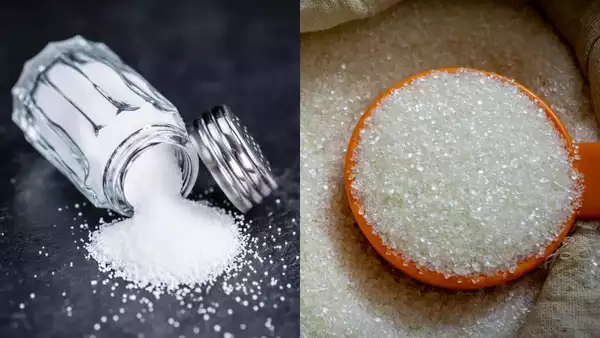 Hidden Microplastics in Salt and Sugar