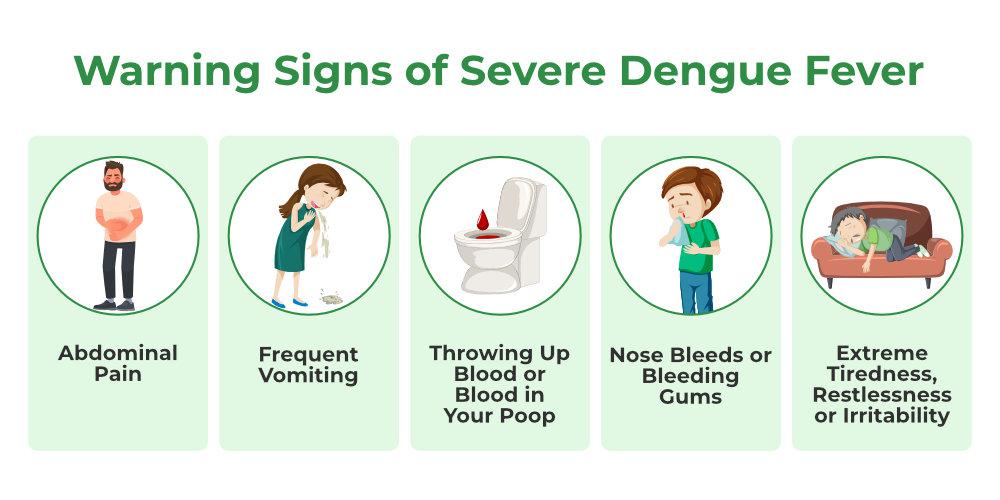 Dengue fever symptoms and treatment