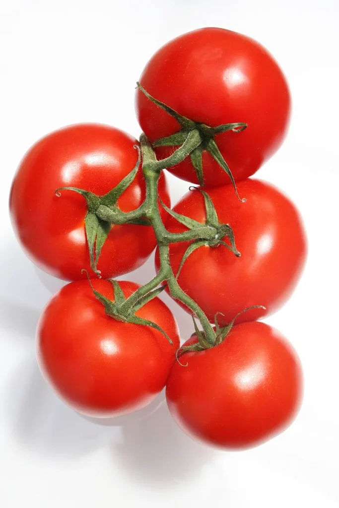 Tomato Prices in Hyderabad Plummet