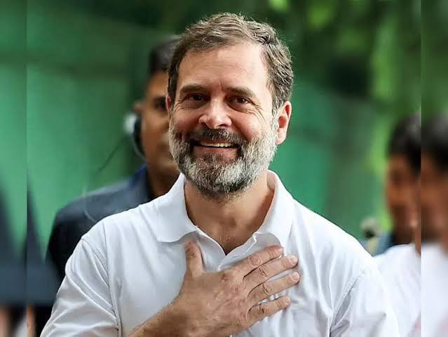 Rahul Gandhi Earns Rs 46Lac Profit