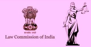 23rd Law Commission India