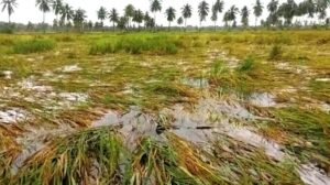 Andhra Pradesh flood damages Rs 6800 crores