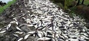 Andhra Pradesh flood damages Rs 6800 crores