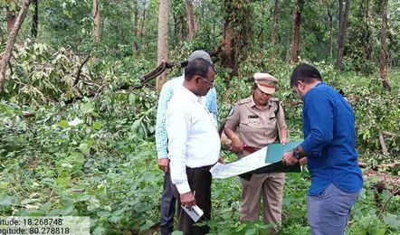 Scientists Probe Mulugu Tree Uprooting