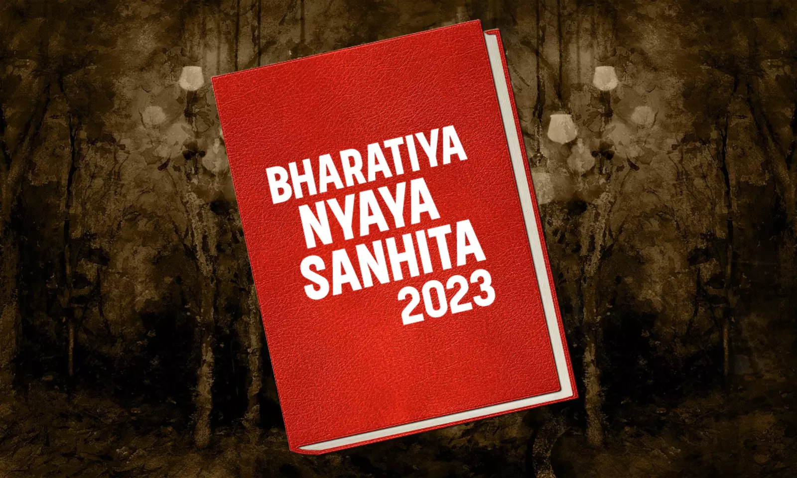 Bharatiya Nyaya Sanhita (BNS).