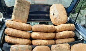 809 kg Ganja Seized in Andhra Pradesh