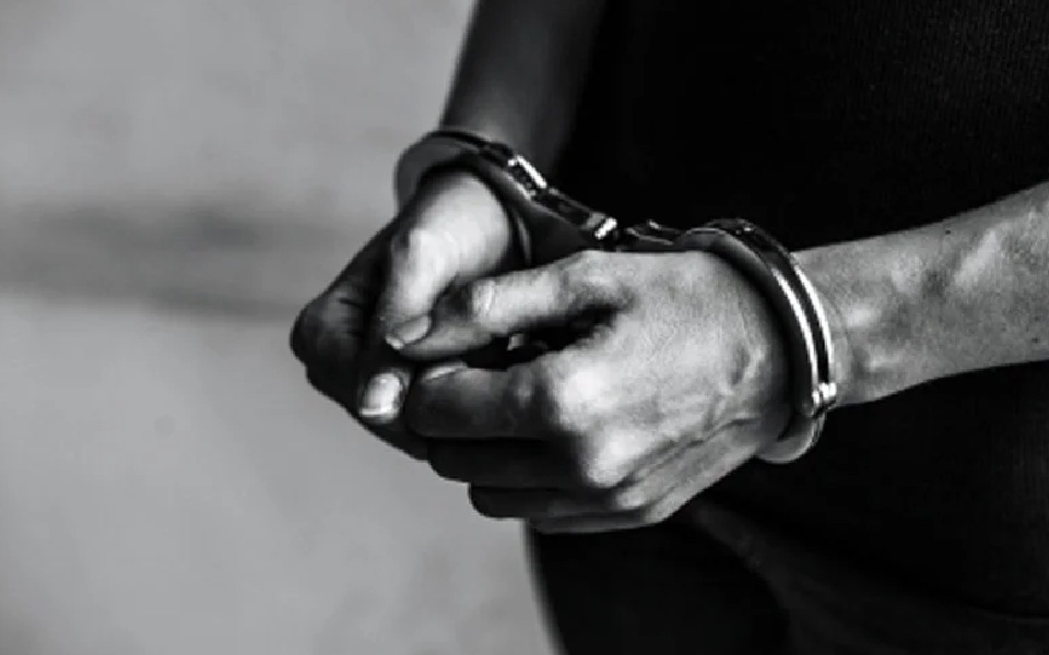 Arrest in Pakistani Immigration Case