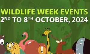 Hyderabad Wildlife Week Showcases Cloud Art