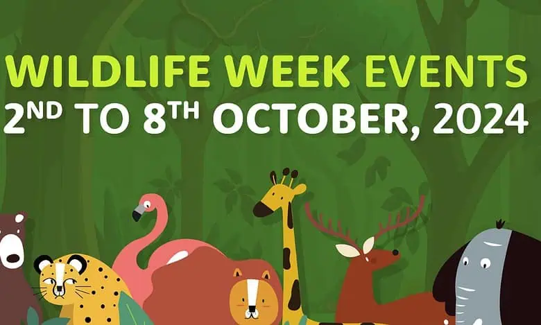 Hyderabad Wildlife Week Showcases Cloud Art