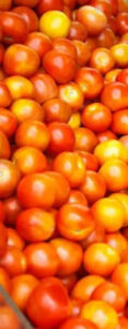 Tomato Prices in Hyderabad