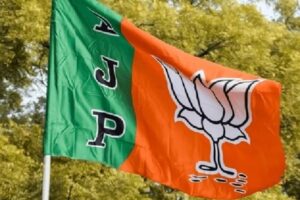 BJP Names Star Campaigners Bihar