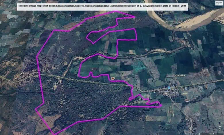 Supreme Court Safeguards Telangana Forest