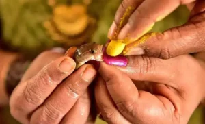 124 Special Buses For Fish Prasadam Event